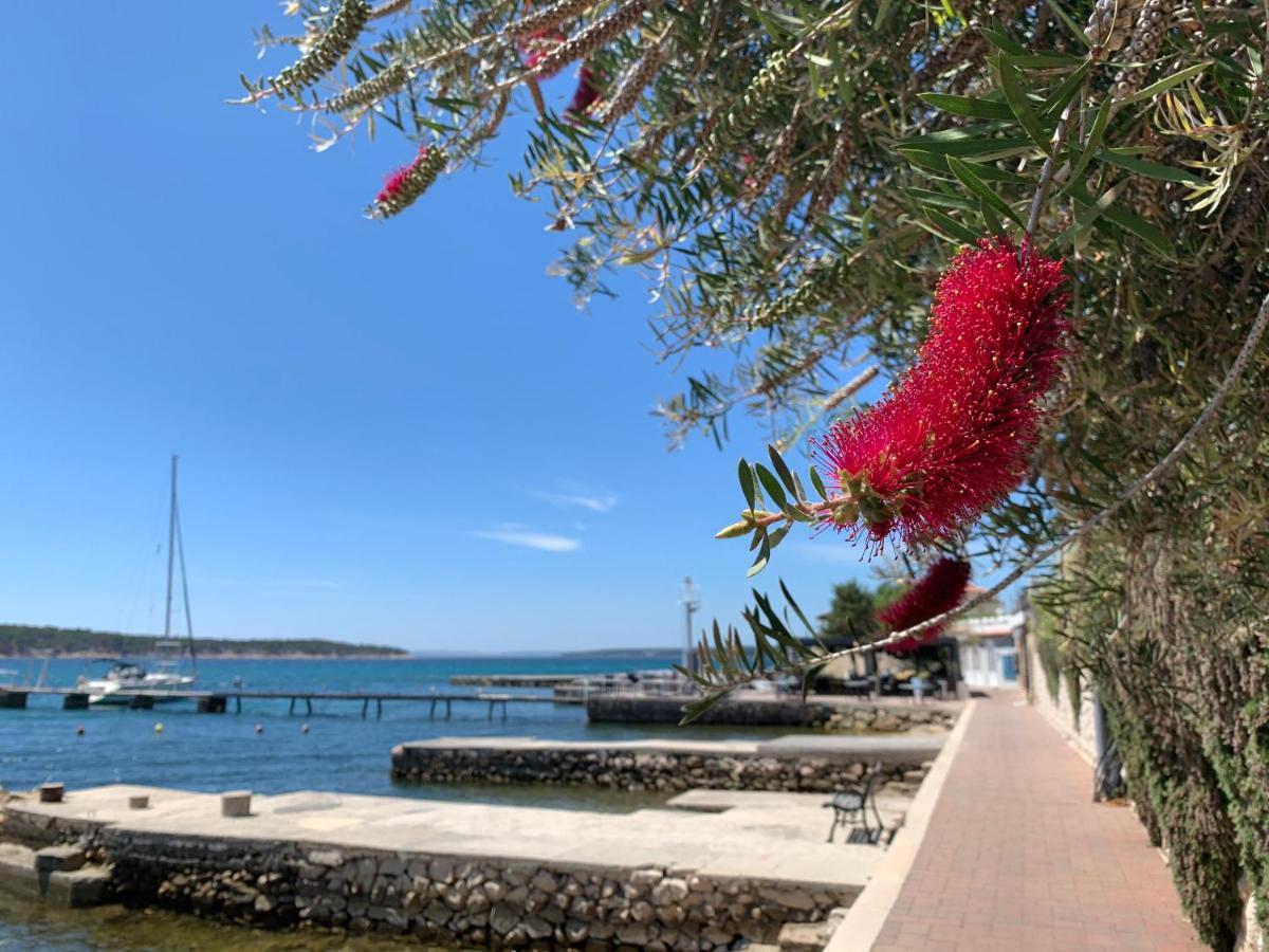Apartman Theresa Barbat na Rabu Dış mekan fotoğraf
